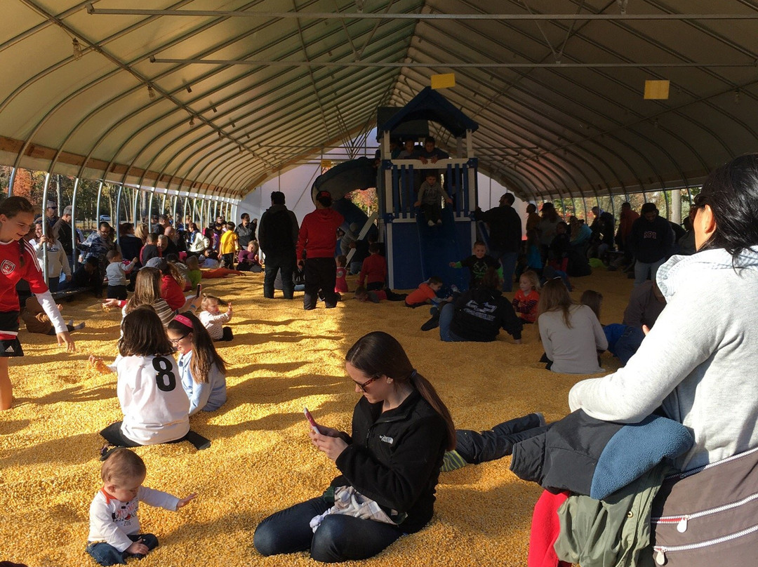 克伦威尔旅游景点-Fair Weather Acres