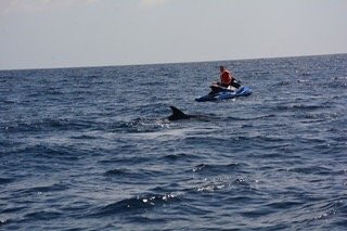 Go-Jetski Tenerife-圣米格尔德亚沃纳必去景点
