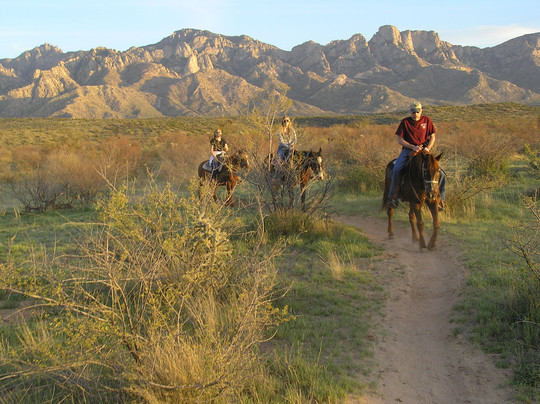 Pusch Ridge Stables-图森必去景点