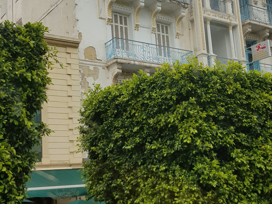 Avenue Habib Bourguiba-突尼斯必去景点