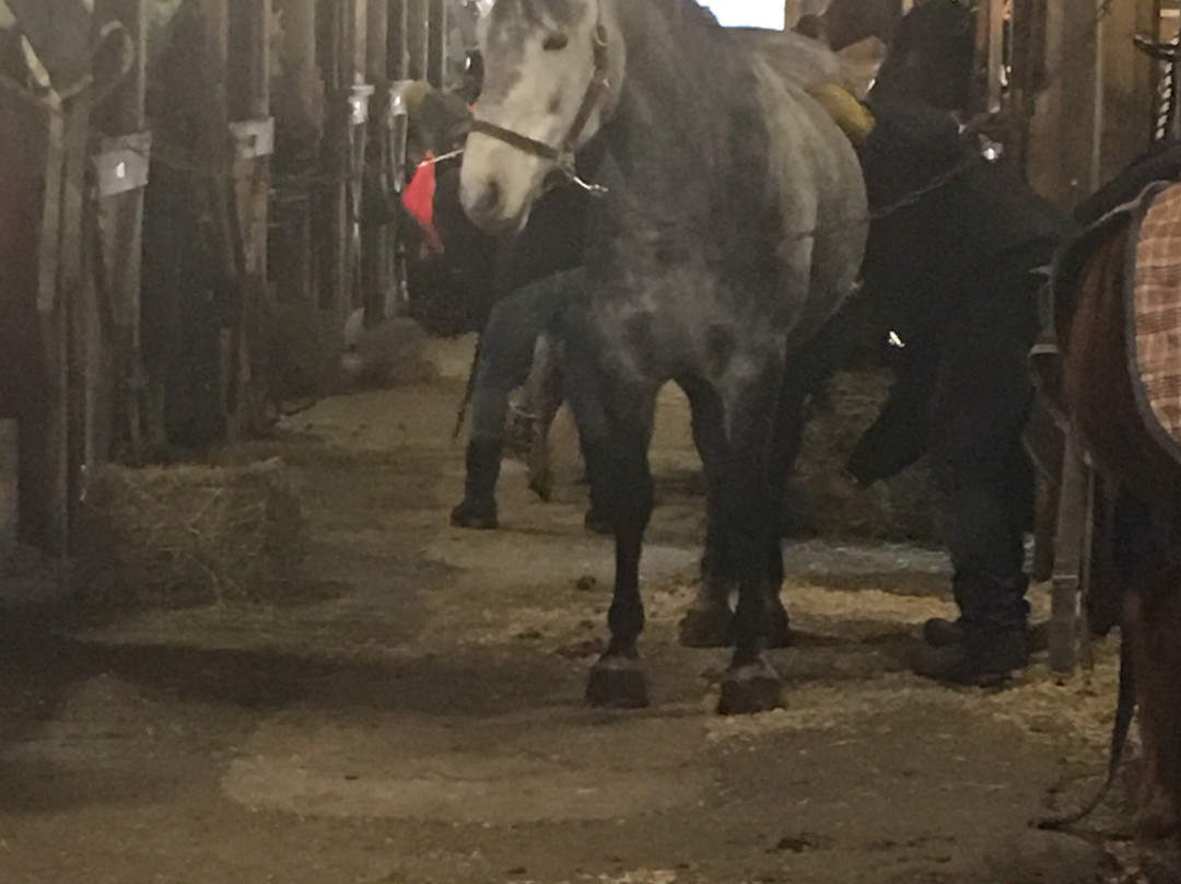 Kedron Valley Stables-伍德斯托克必去景点