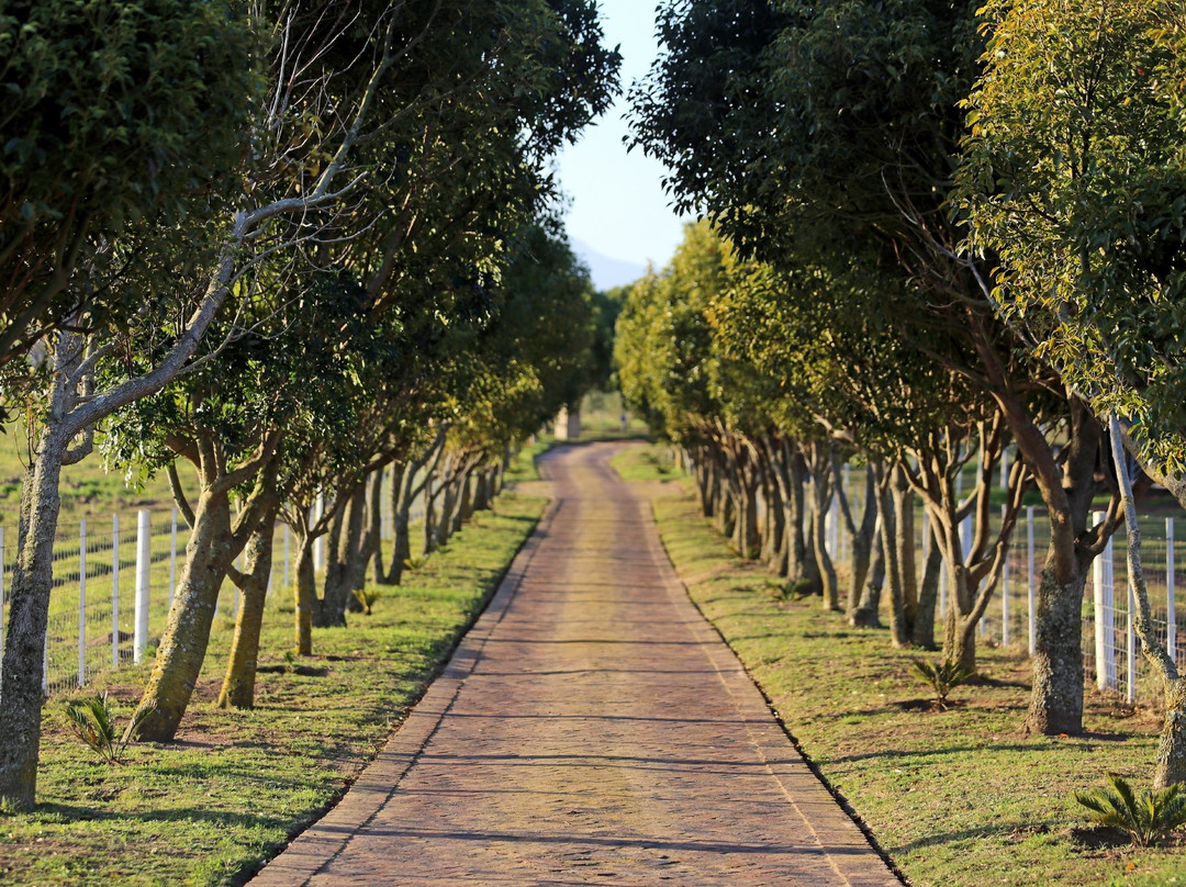 Eagles Nest Resort主图