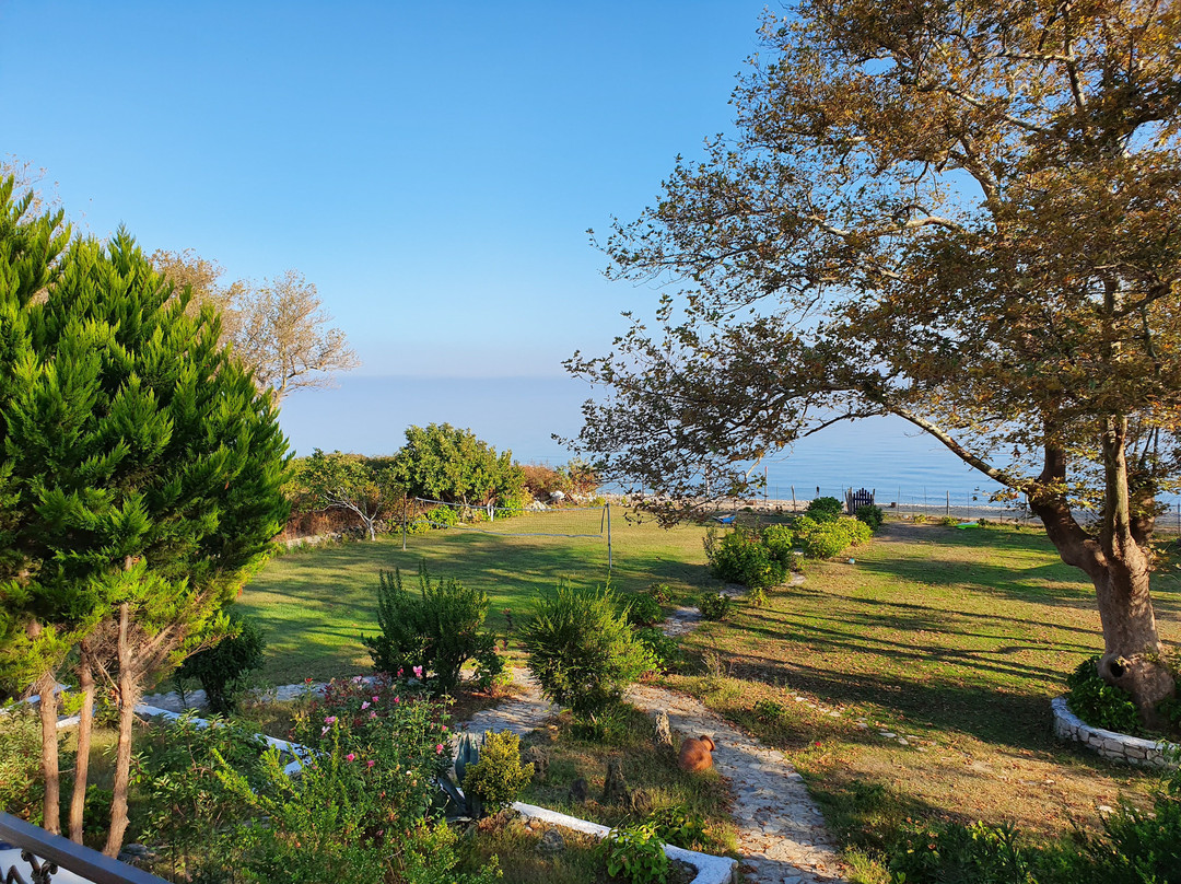 Archondissa Beach ApartHotel主图