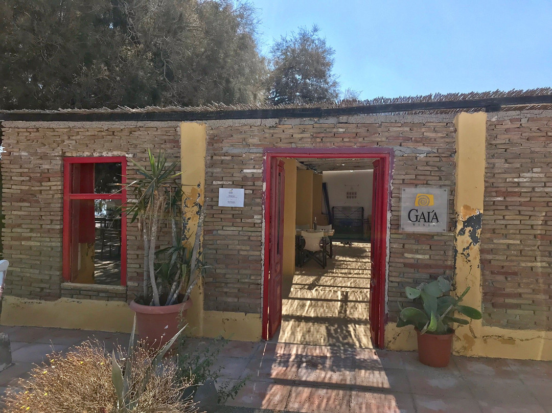 Santorini Wine Trails-费拉必去景点