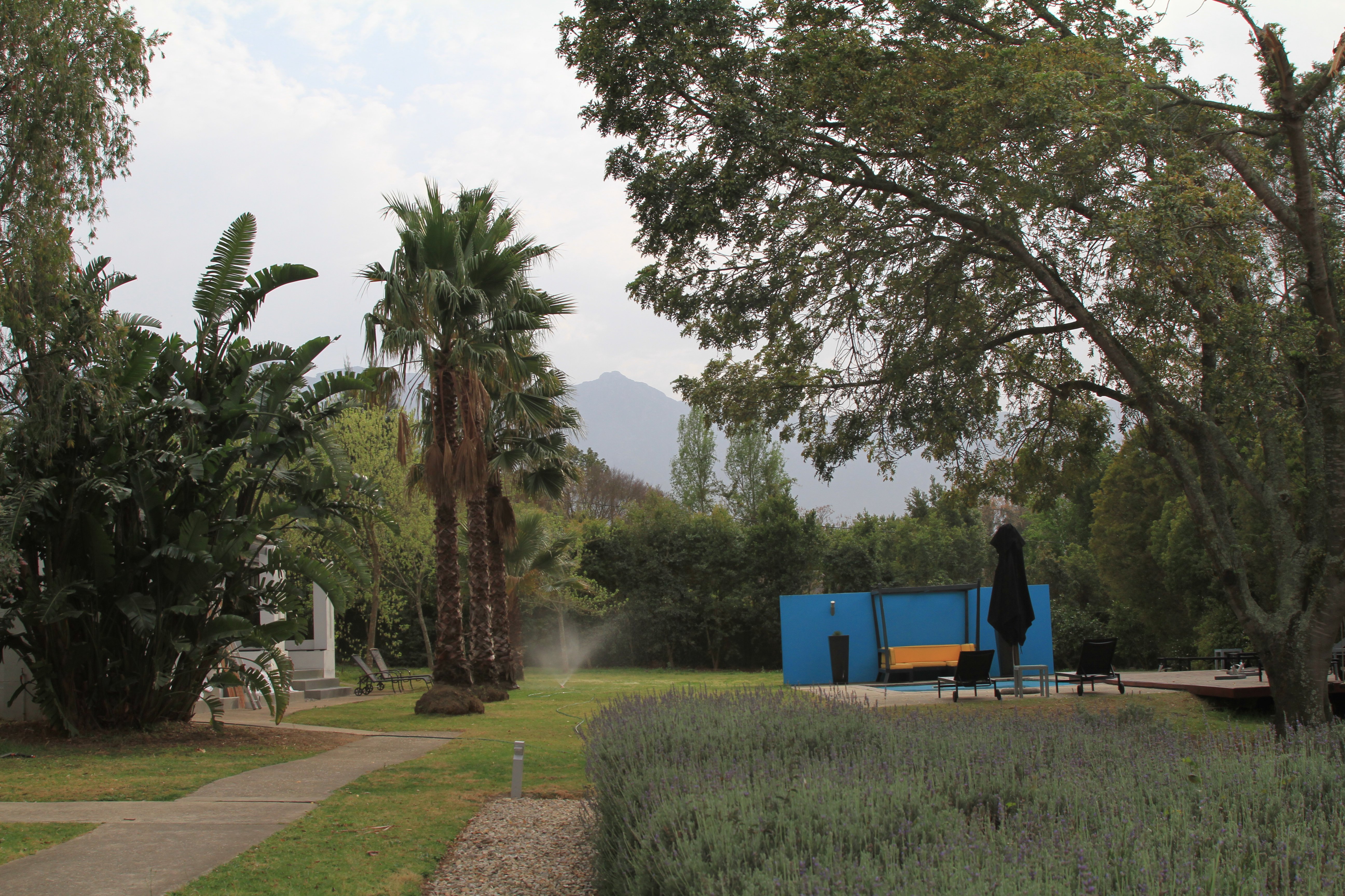 Bloomestate Swellendam-泳池