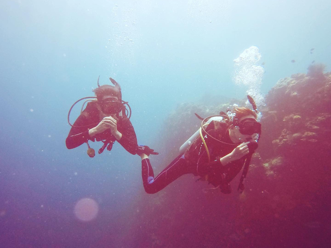 菲律宾乐趣潜水景点图片