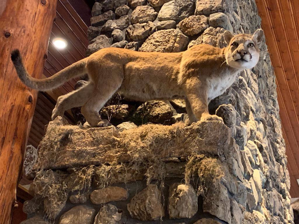 Greenwood Village Inn & Suites主图