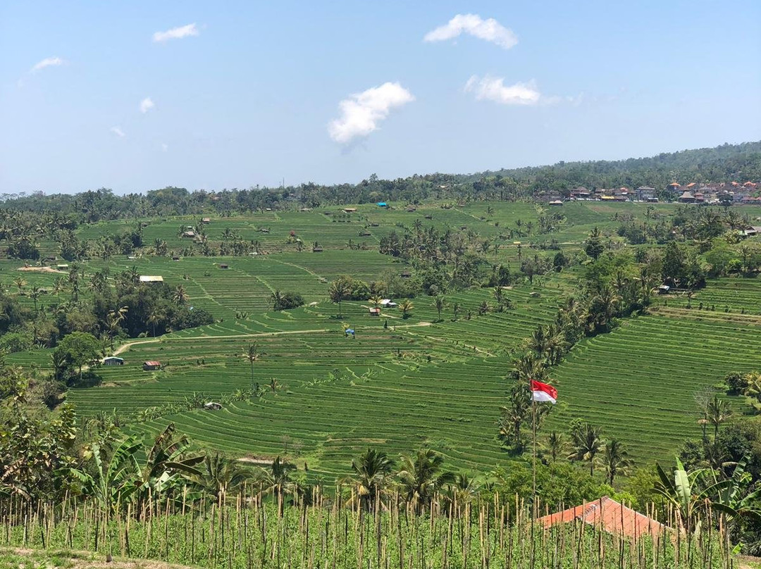 Bali Mandala Tours-乌布必去景点