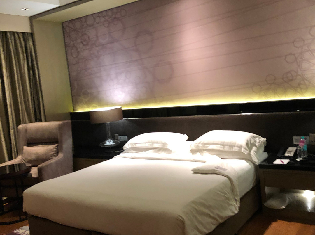 凯西帝都酒店主图