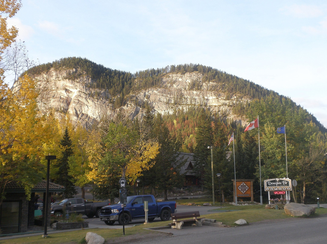 花旗松小屋度假酒店主图