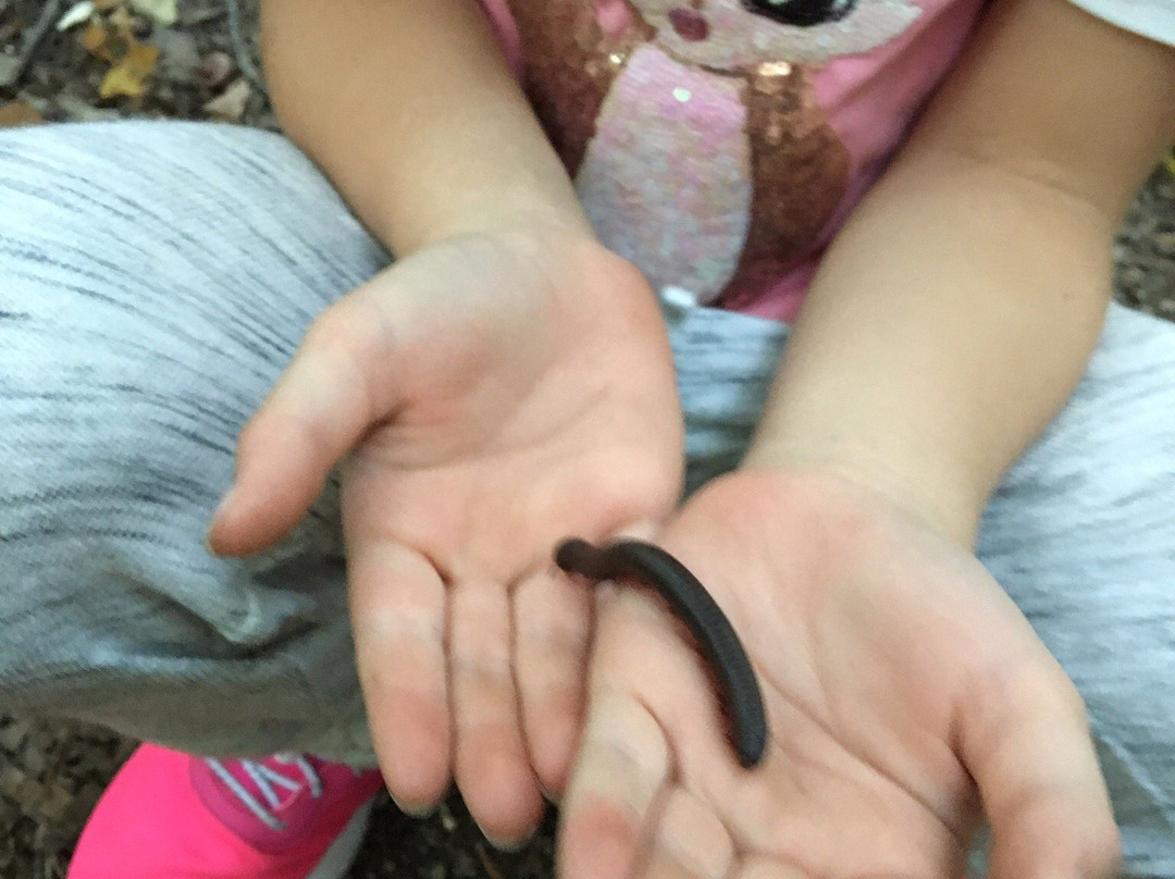 Ferncliff Forest-Rhinebeck必去景点