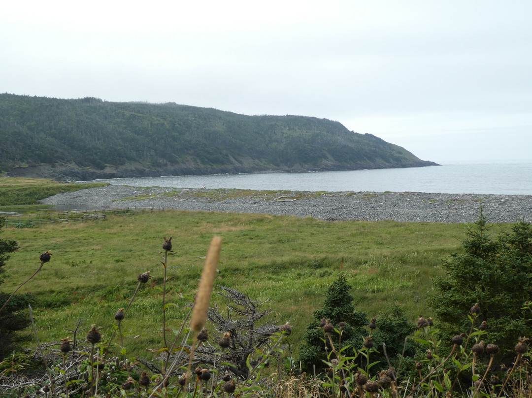 Gooseberry Cove Provincial Park景点图片