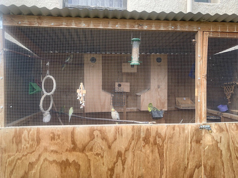 Ancient Briton Hotel主图