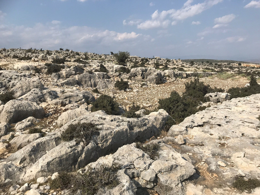 Ancient Road景点图片
