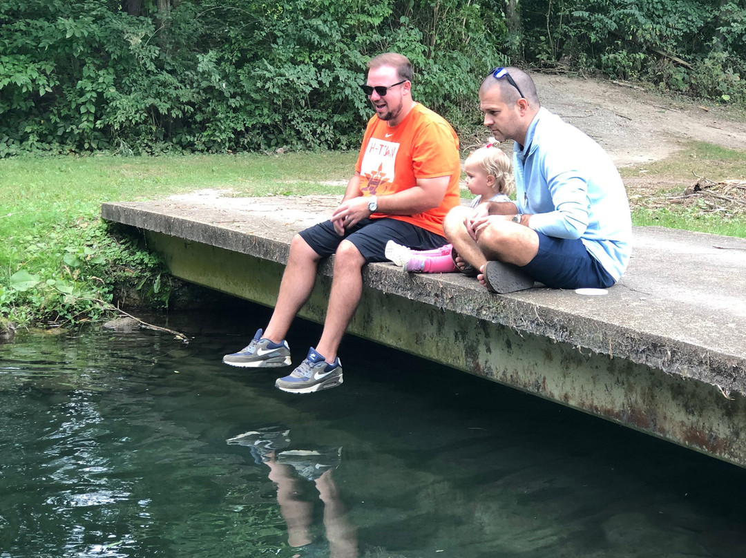 Farrell House Lodge主图