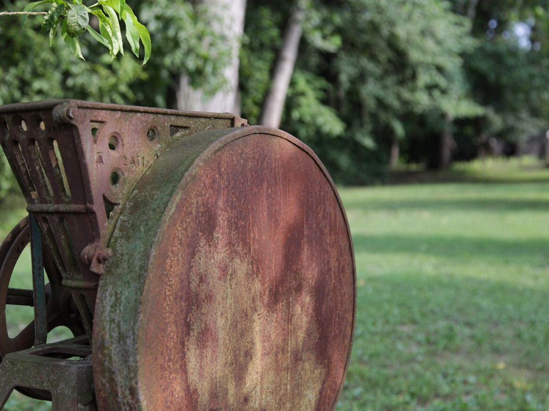 Cascina Arcangelo Raffaele主图