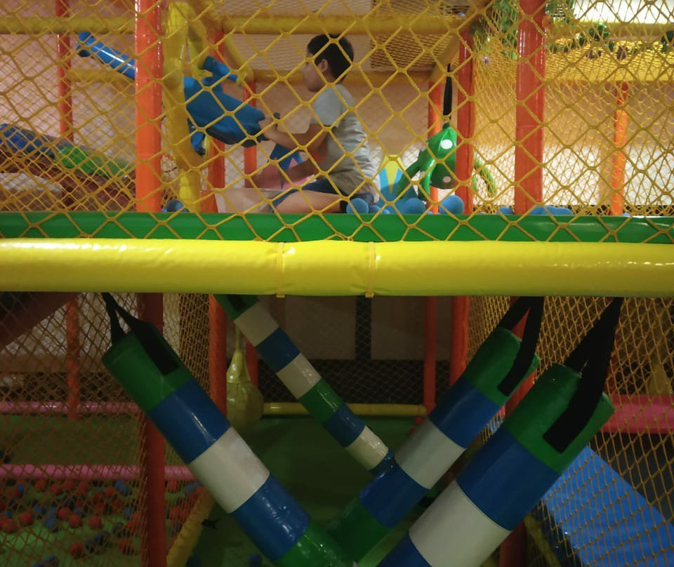 Hotel Pallavi West主图