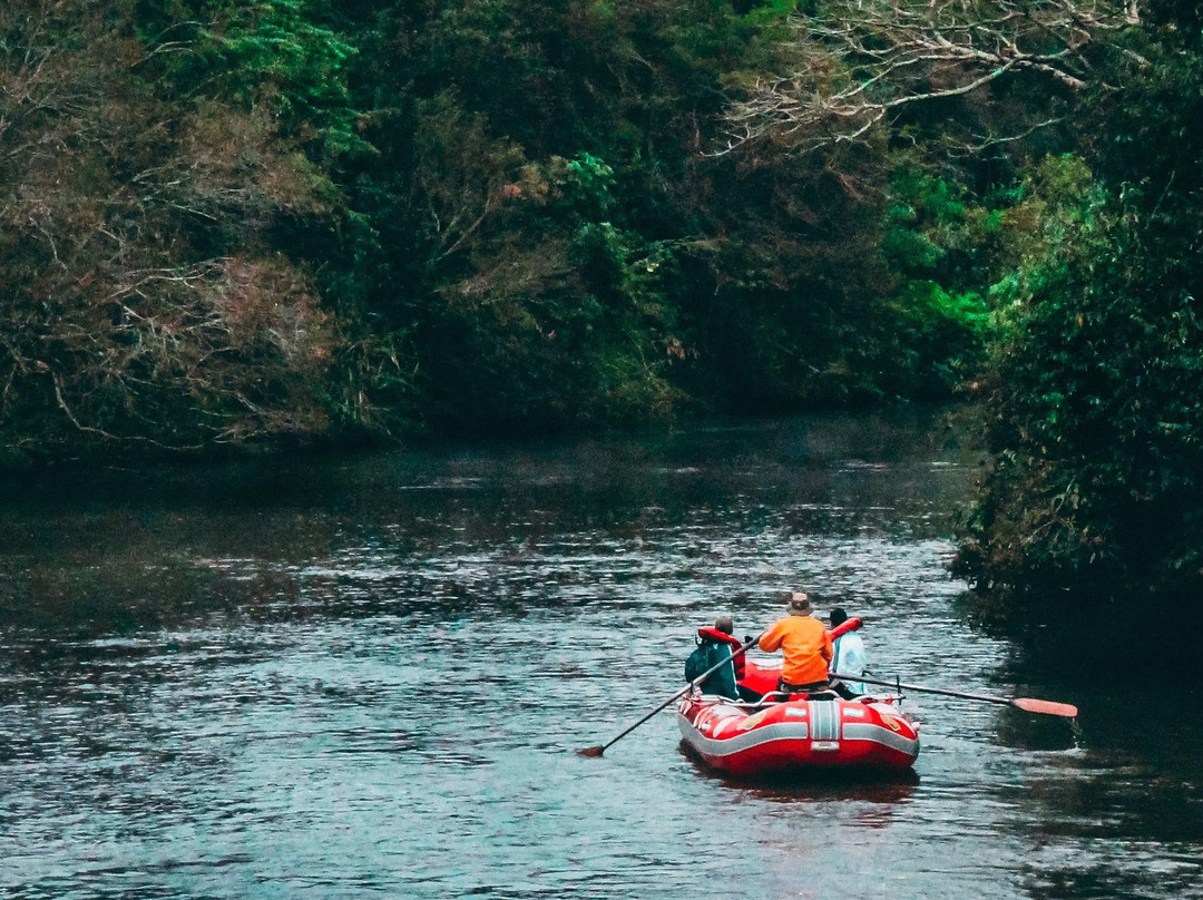 Pack n' Roll Tours-波尔图必去景点