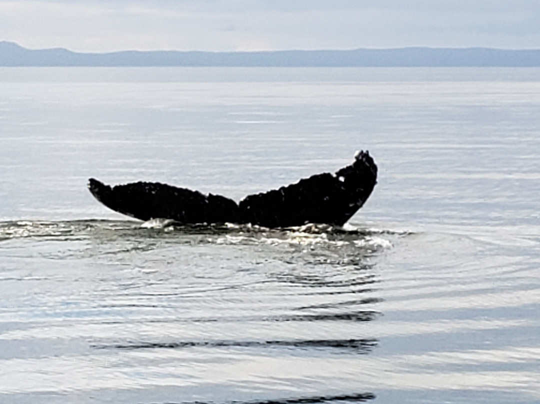Wooshkeetaan Tours-胡纳必去景点