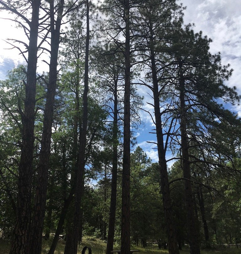 Mingus Mountain Area-Clarkdale必去景点