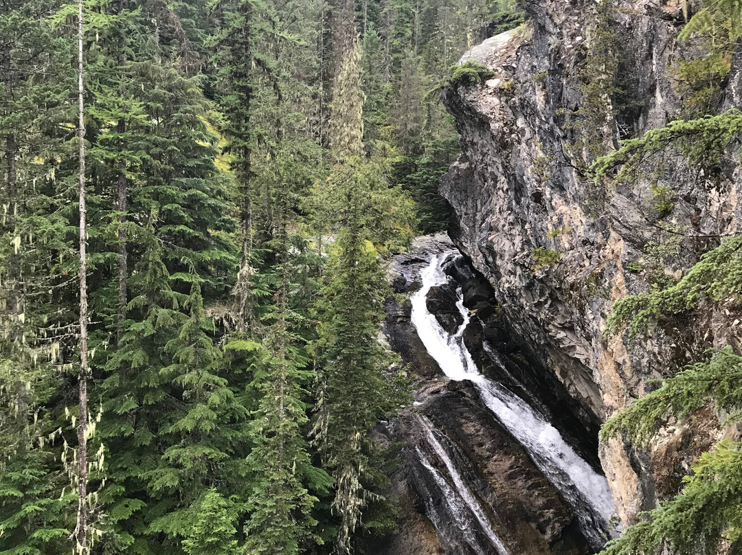 Roosevelt Grove of Ancient Cedars-Nordman必去景点