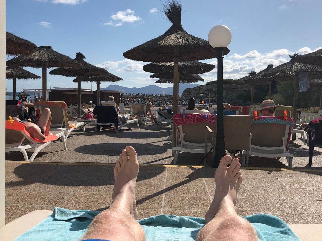 Son Baulo, Kulturfinca主图