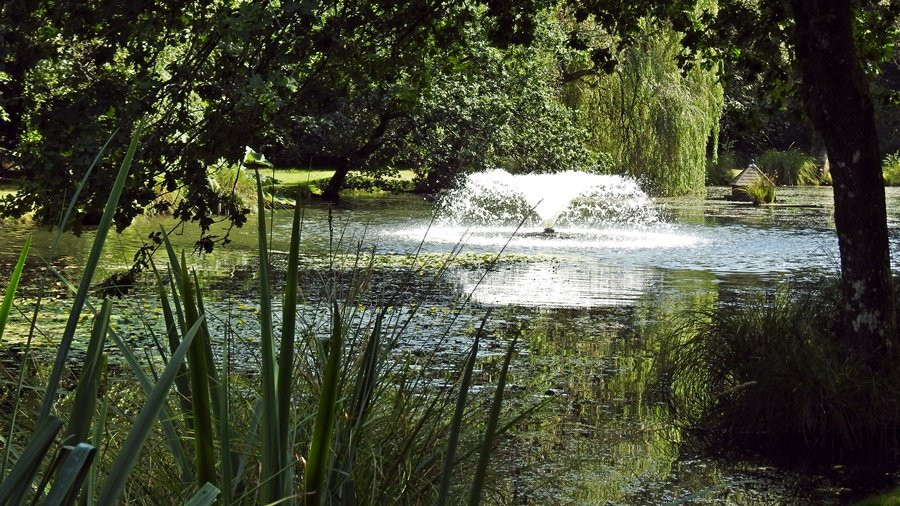 Lakeview Manor主图