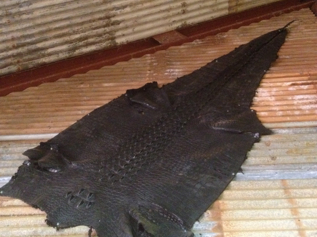 Malcolm Douglas Broome Crocodile Park-布鲁姆必去景点