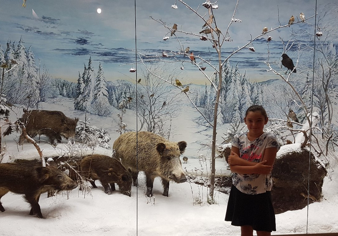Naturkundemuseum景点图片