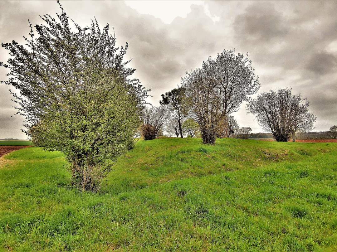 Tumulus Du Montioux景点图片