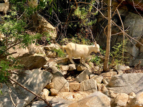 密云龙云山-北京市必去景点