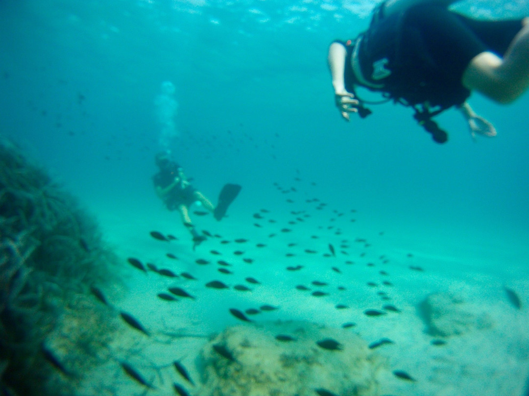 Seaworld Scuba Diving Center景点图片