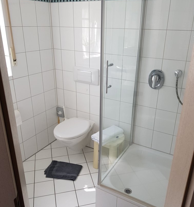 Hotel-Restaurant & Metzgerei Rößle主图