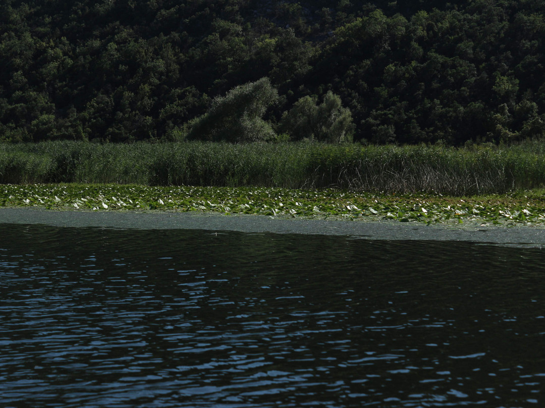 Enjoy Skadar Lake-Rijeka Crnojevica必去景点