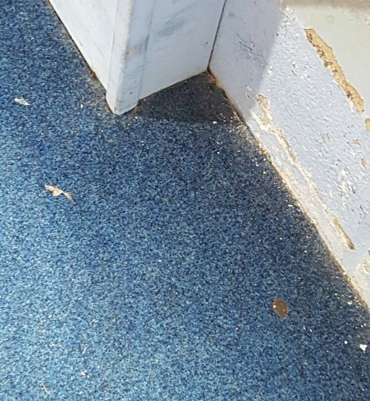 Beach Cove-Hornsea必去景点