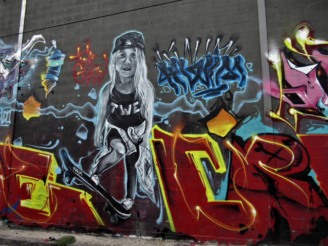 Fresque "Skateboardeuse"-欧贝维利耶必去景点
