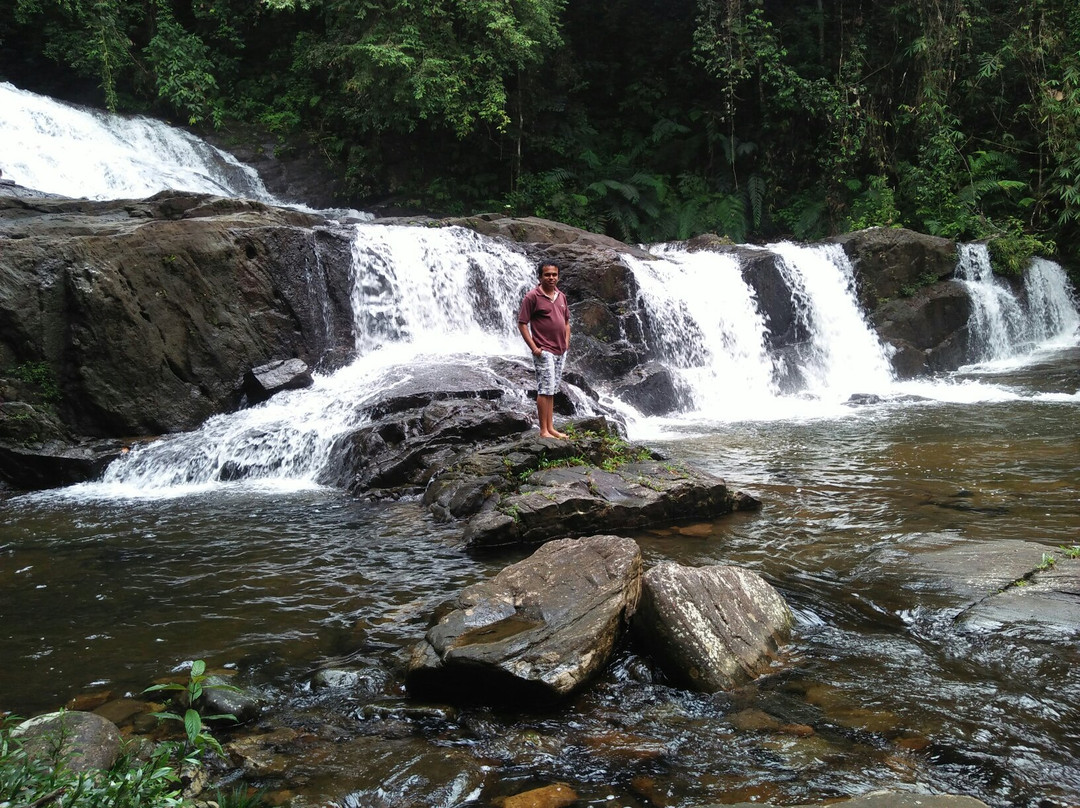 Tropical Rain Forest Sinharaja-Neluwa必去景点