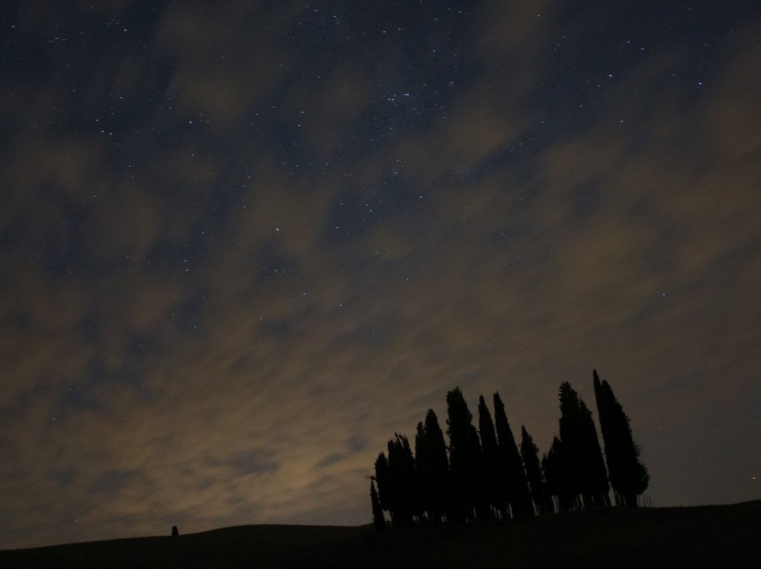 Cipressi di San Quirico d'Orcia景点图片