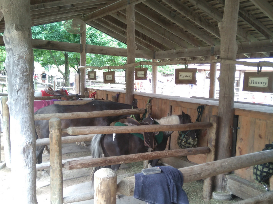 Deanna Rose Children's Farmstead-欧弗兰帕克必去景点