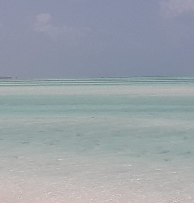 Tripskenya-瓦塔木必去景点