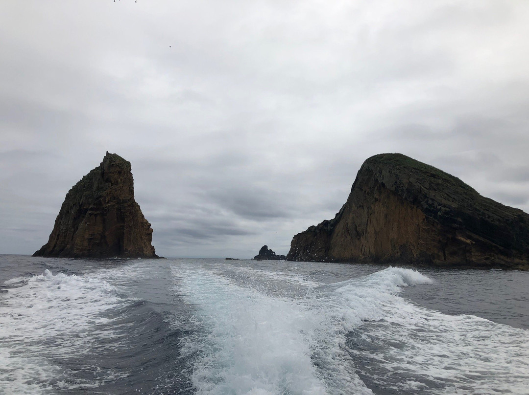 Calypso Azores - Yacht Charter-Santa Cruz Da Graciosa必去景点
