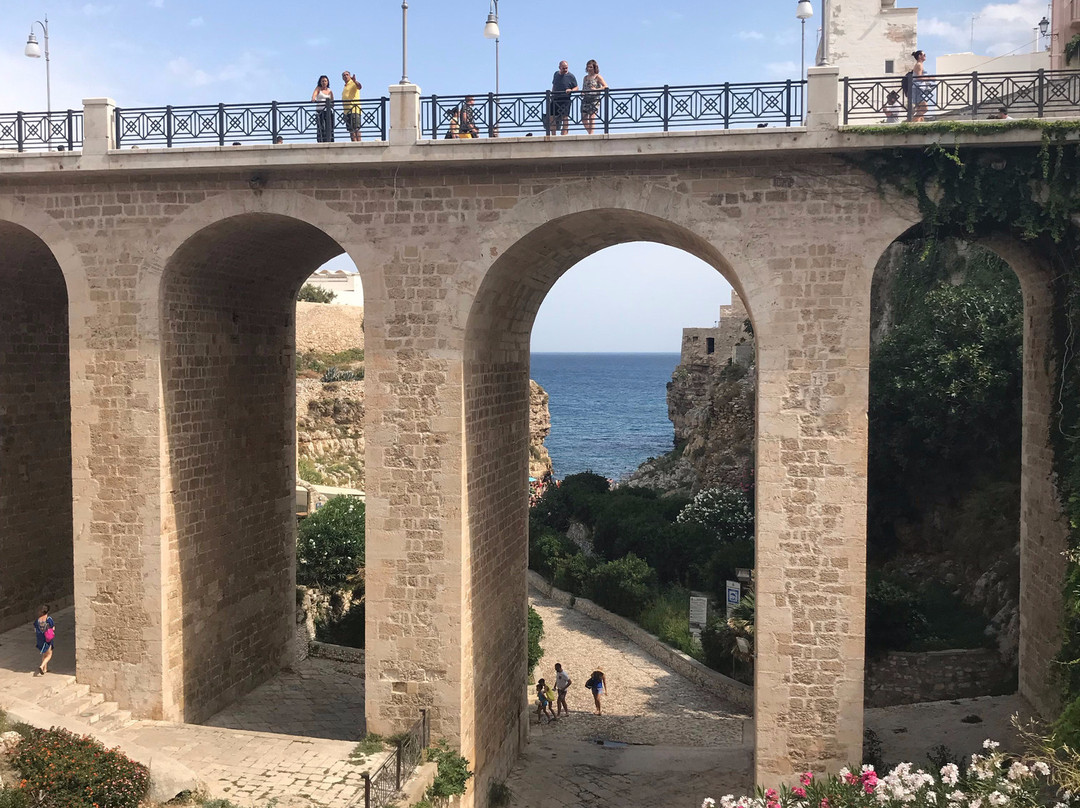 Ponte Borbonico di Lama Monachile景点图片