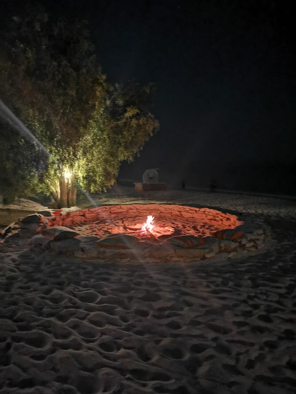 Hotel Safari Vezo-泳池