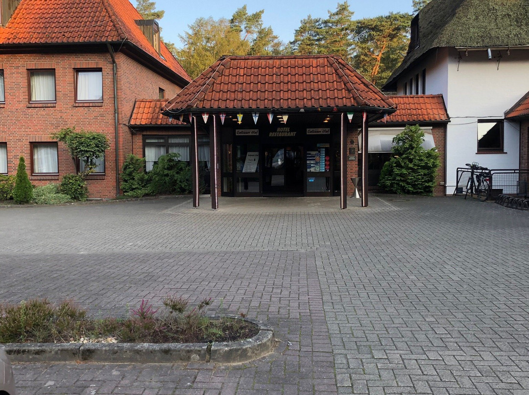 Heidehotel Soltauer Hof主图