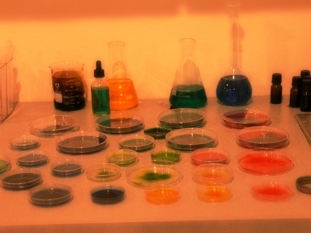 The Escape Room at the Silver Spur Resort-Canton必去景点