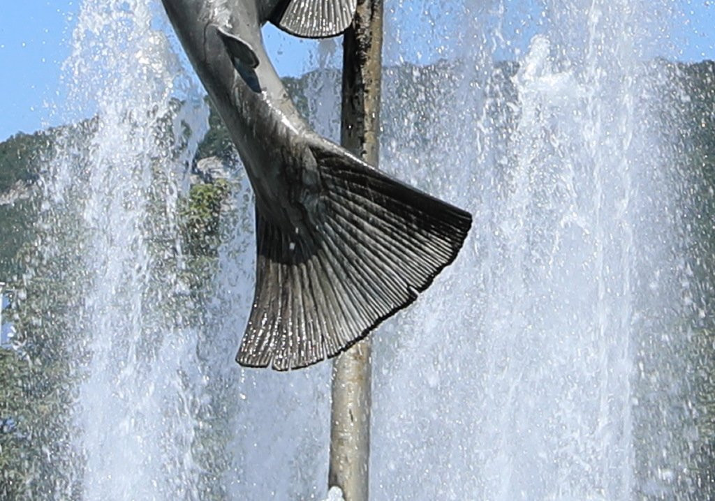 Fontaine de la truite à Ornans景点图片