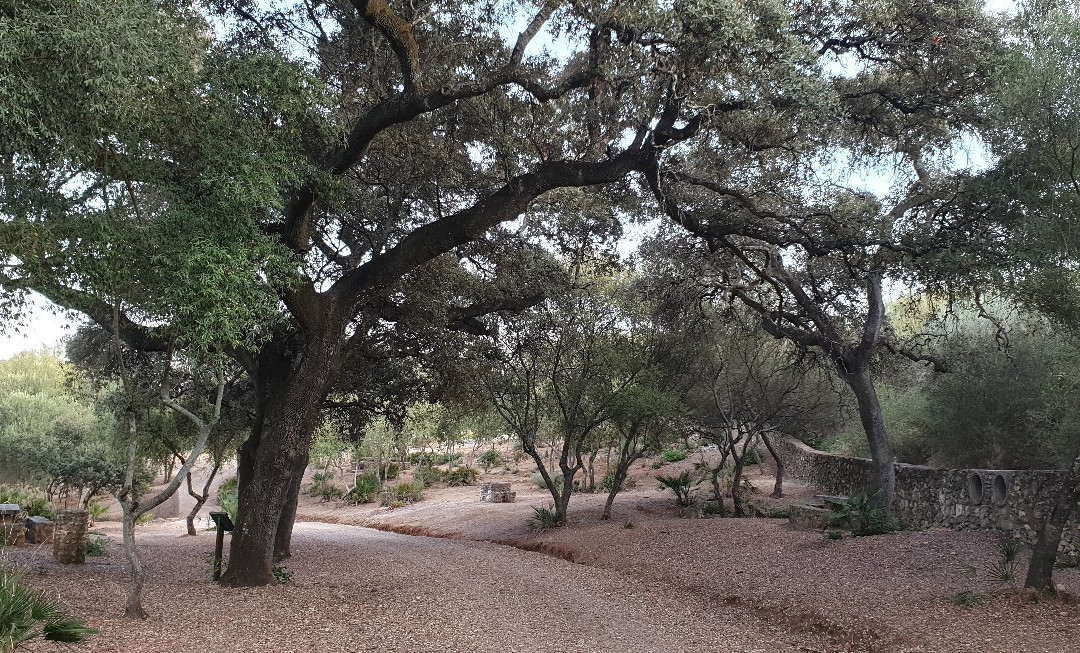 Parque Periurbano Los Cabezos景点图片