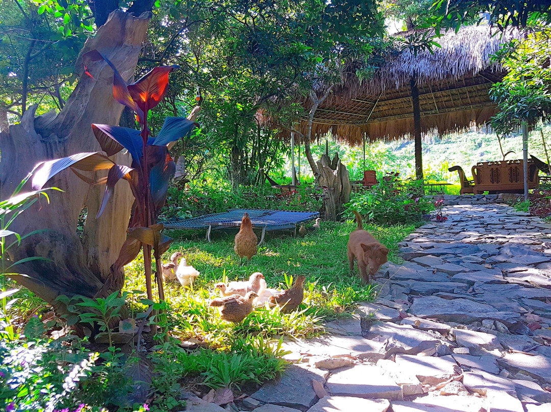 Du Gia Backpacker Garden Homestay