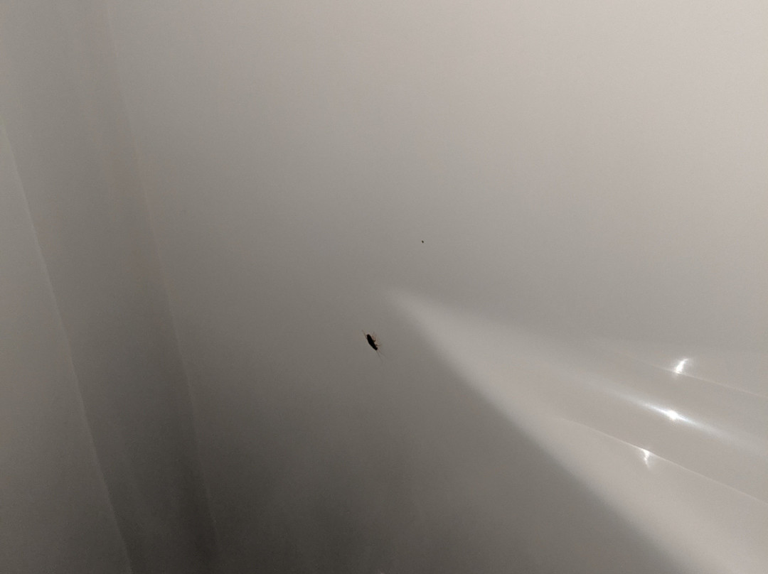 山泉汽车旅馆及房车公园主图