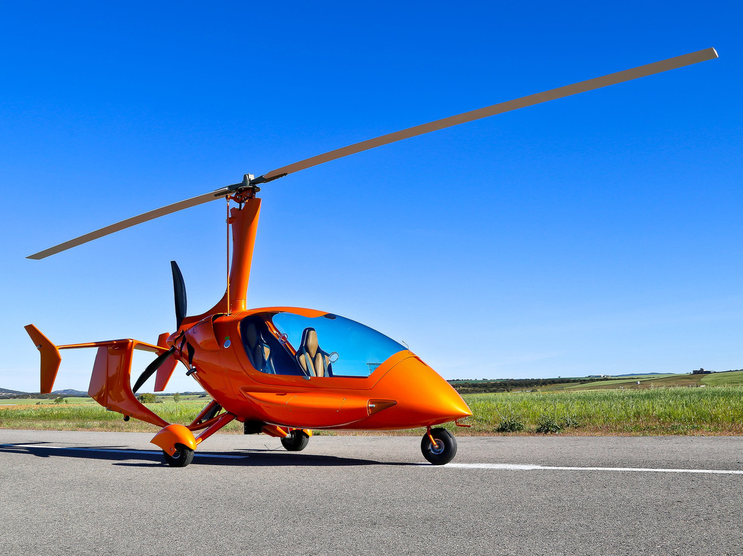 Falcon View Tours-科尔多瓦必去景点